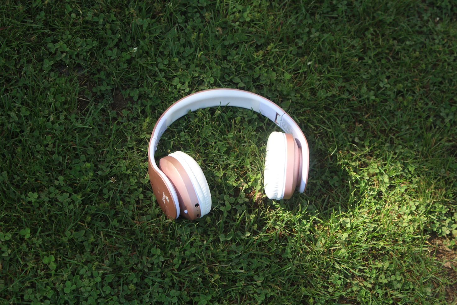 Die Rolle von Neurowissenschaft in der Musik